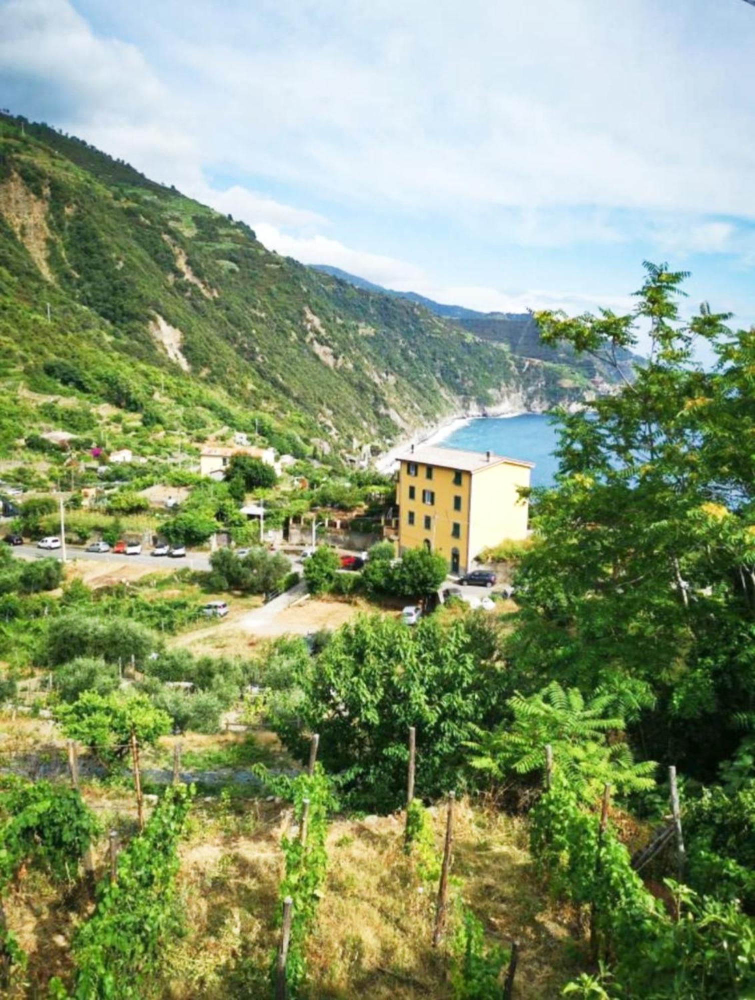 New Hanging Garden Corniglia Exterior photo